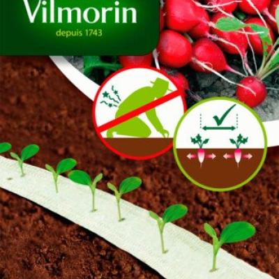 Zaailint Radijs Tinto HF1 5M