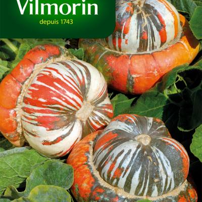 Pompoen Turkse Mutsen