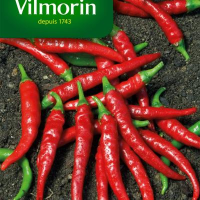 Spaanse Peper Cayenne