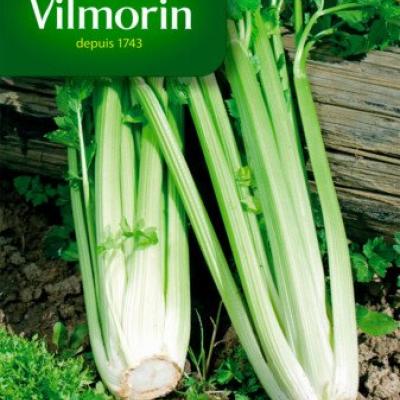 Groene Selder Van Elne