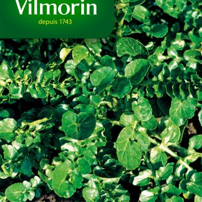 Tuinkers Doorlevende