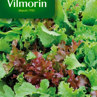 Mengsla Mesclun
