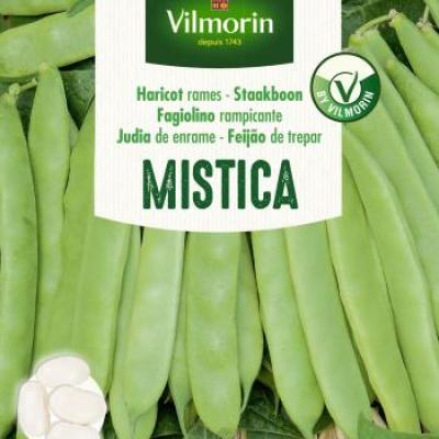 Boon Mistica 40g