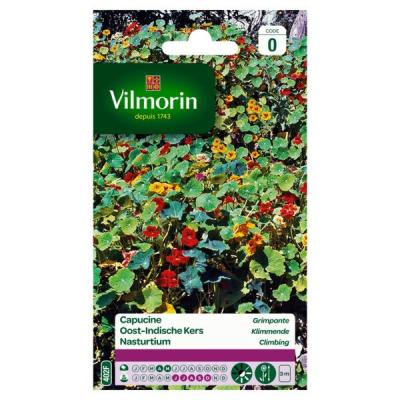 Oost-Indische Kers Klimmende