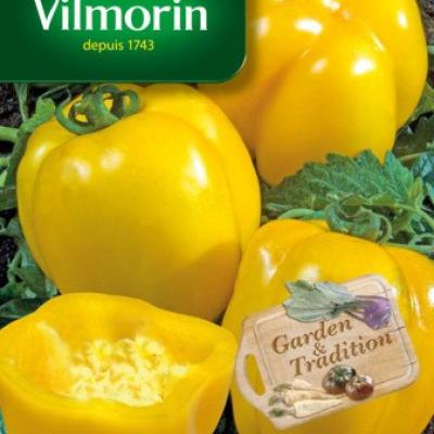 Tomaat Yellow Stuffer