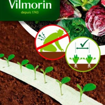 Zaailint Cichorei Gemengd 5M