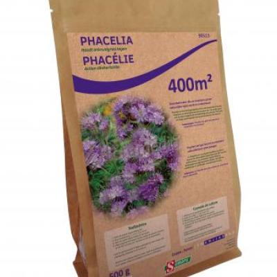 Groenbemester Phacelia - Engrais vert Phacélie
