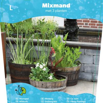 Mix mand 18 cm met 3 waterplanten